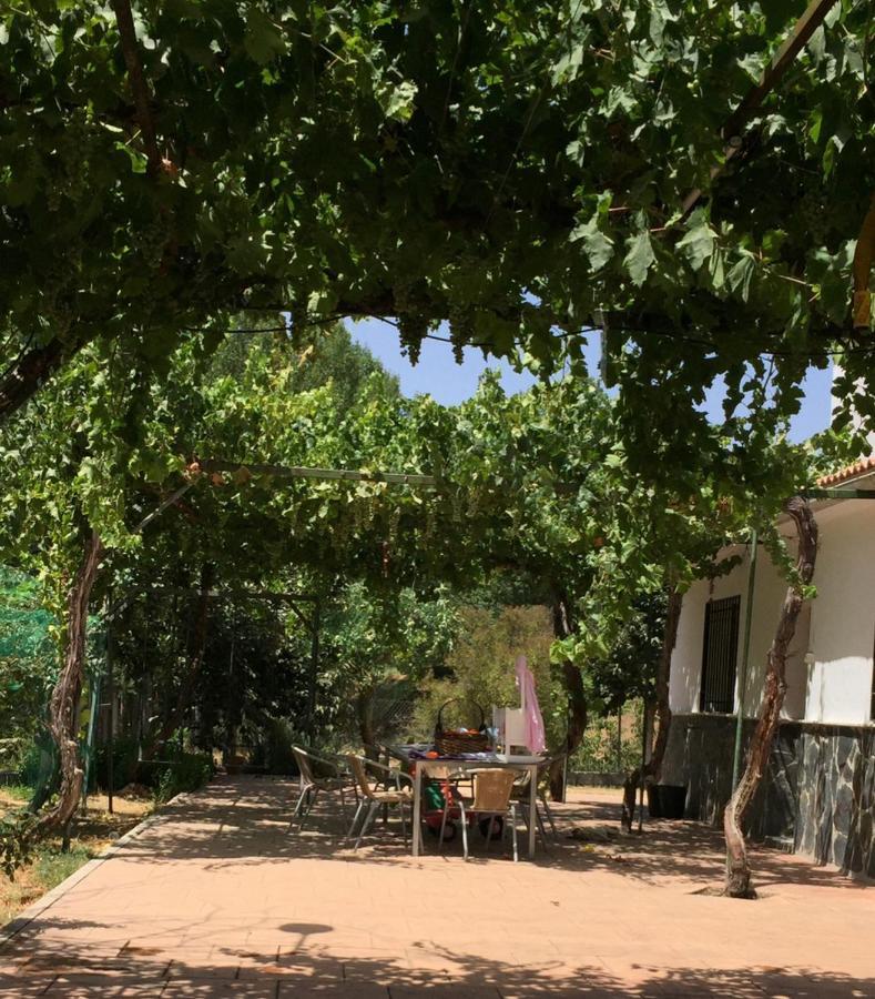Casa De Ines Alhama de Granada Exterior foto